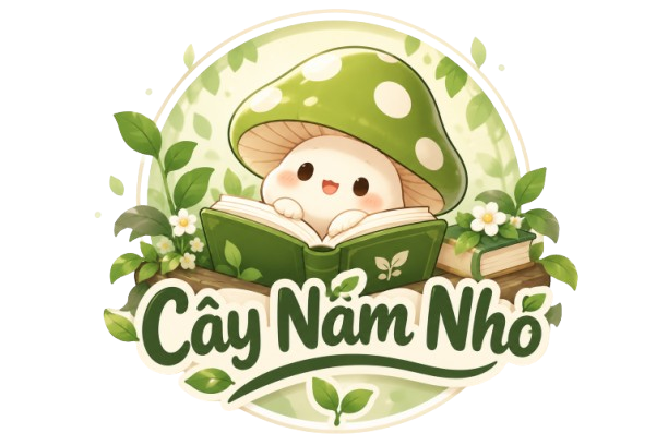 Cây Nấm Nhỏ